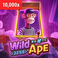 Sân đấu đá gà trực tiếp sôi động tại MWC77